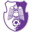 Logo van Arges Pitesti
