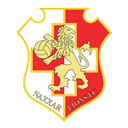 Logo van Naxxar Lions