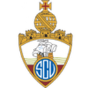 Logo van Vianense