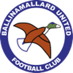 Logo van Ballinamallard United