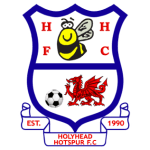 Logo van Holyhead Hotspur