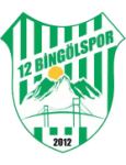 Logo van 12 Bingölspor