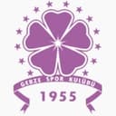 Logo van Güzide Gebzespor