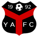 Logo van Ynyshir Albions