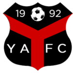 Logo van Ynyshir Albions
